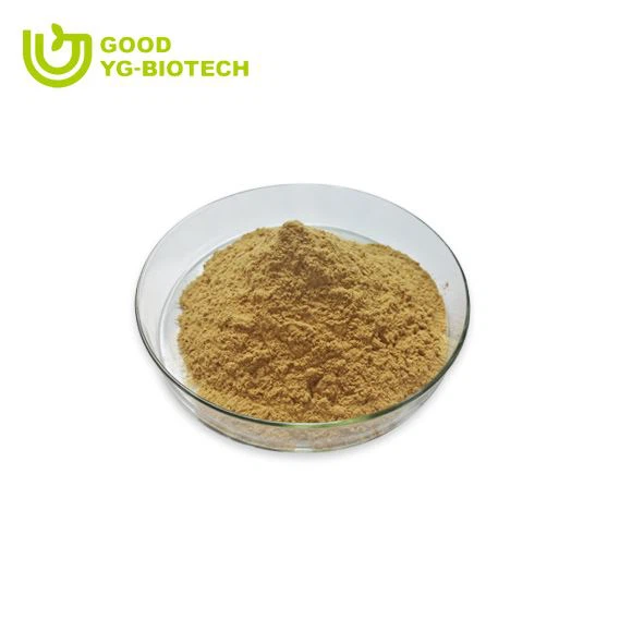 Lion's mane extract beta glucan