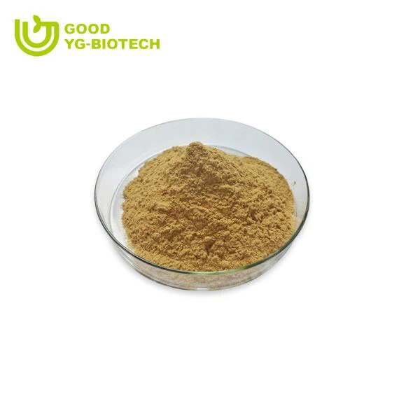 Lion's mane extract beta glucan