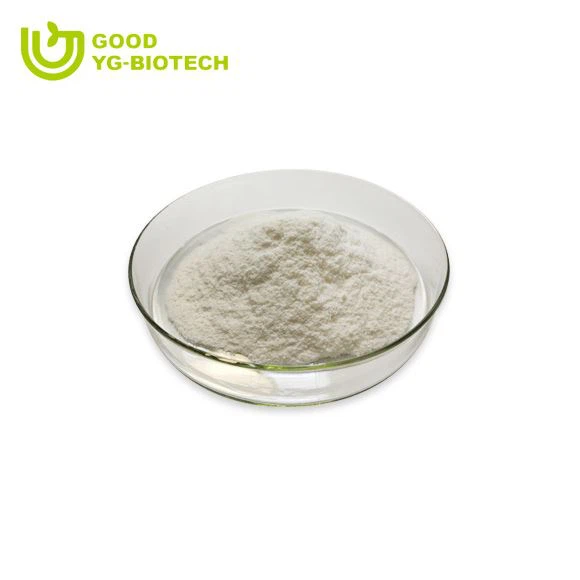 Lion's mane extract beta glucan