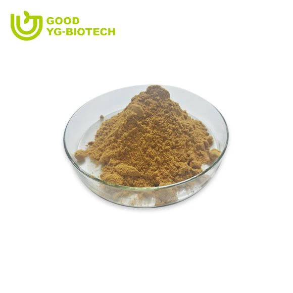 Lion's mane extract beta glucan