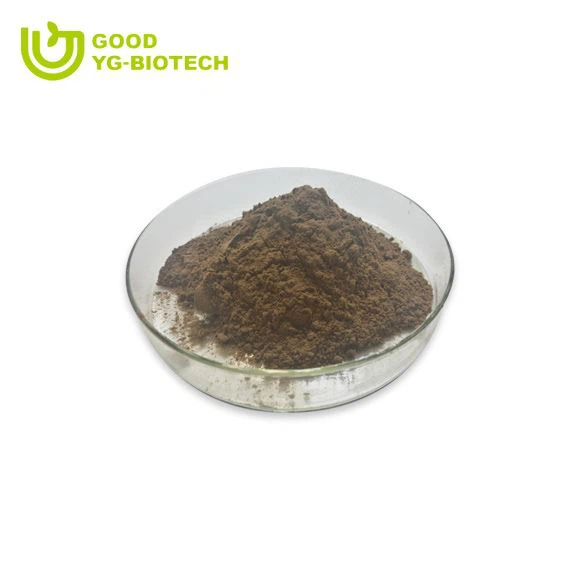 Lion's mane extract beta glucan