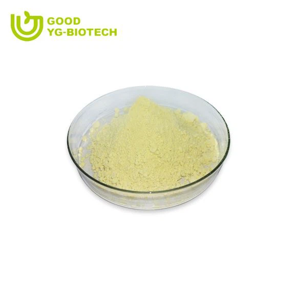 Lion's mane extract beta glucan