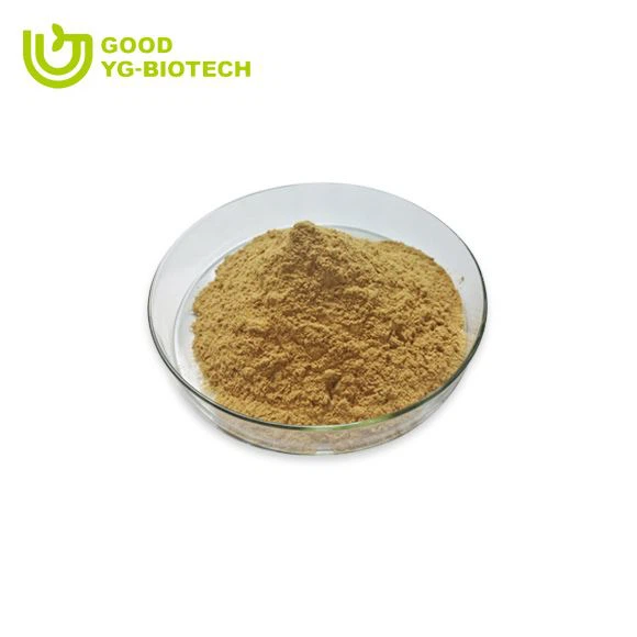 Lion's mane extract beta glucan