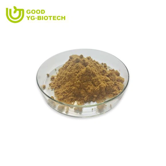 Lion's mane extract beta glucan