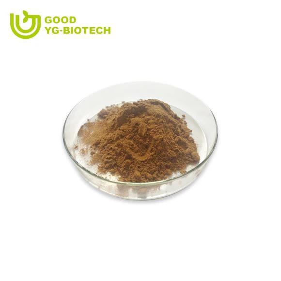 Lion's mane extract beta glucan