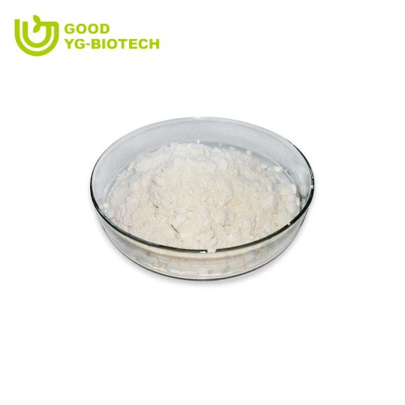 Lion's mane extract beta glucan