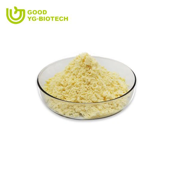 Lion's mane extract beta glucan