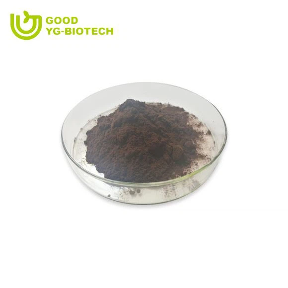 Lion's mane extract beta glucan